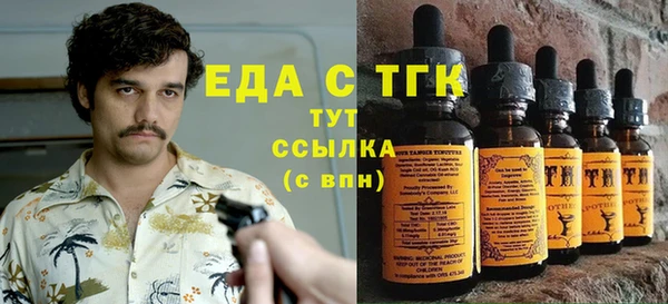 тгк Алзамай