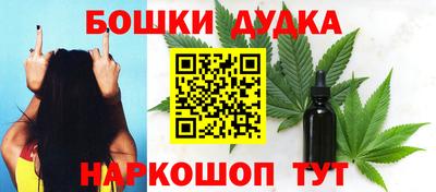 индика Апшеронск
