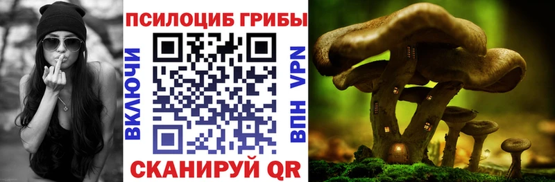 Галлюциногенные грибы ЛСД  Апшеронск 